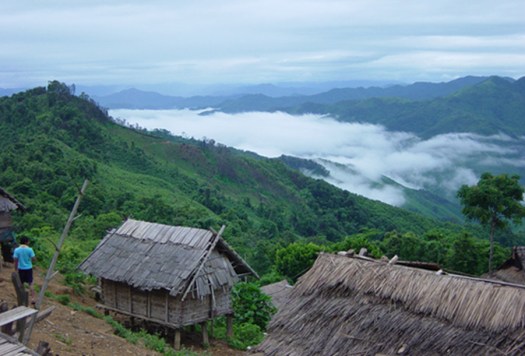 Morning mist with my coffee.